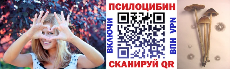 Псилоцибиновые грибы Magic Shrooms  купить наркоту  Краснообск 